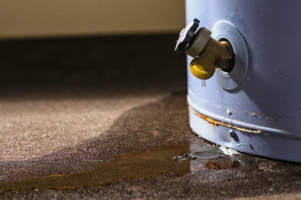 Best 24/7 water damage repair  in Park River, ND