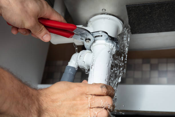 Best Fire Damage Restoration  in Park River, ND