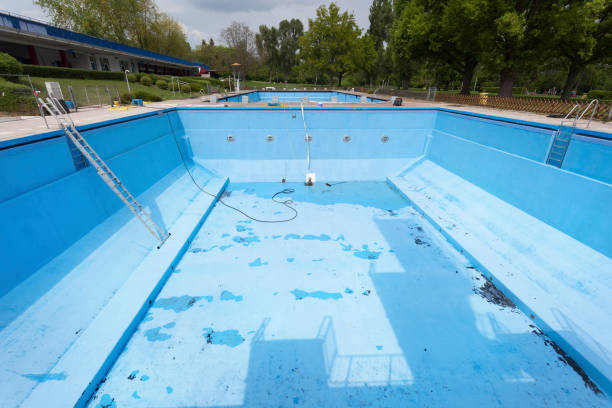 Best Mold removal after water damage  in Park River, ND