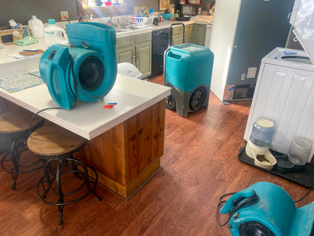 Best Local water damage restoration  in Park River, ND