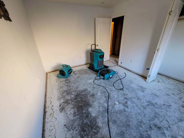  Park River, ND Water damage restoration Pros