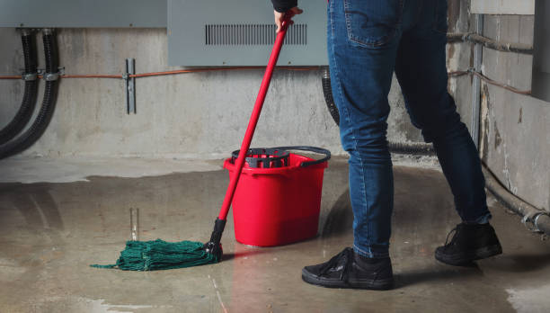 Best Water damage restoration company  in Park River, ND