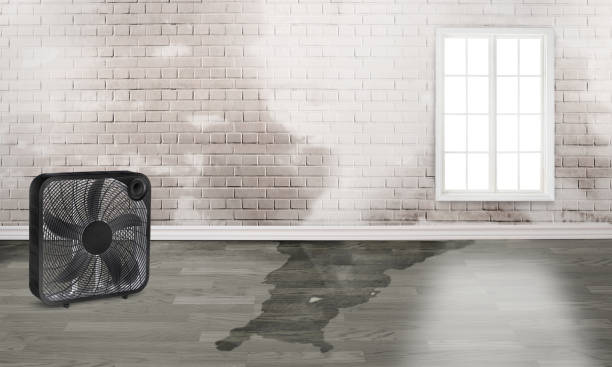 Best Emergency water damage restoration  in Park River, ND