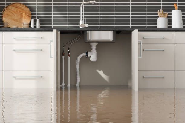 Best Flood restoration services  in Park River, ND