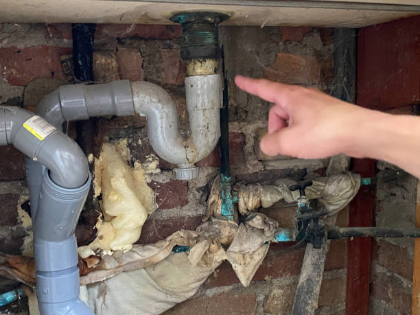 Best Fire Damage Restoration  in Park River, ND