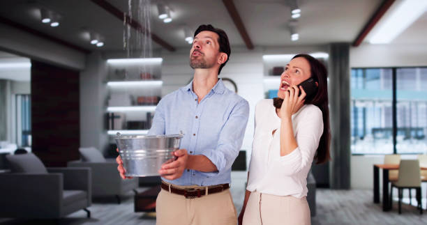 Best Flooded house restoration  in Park River, ND